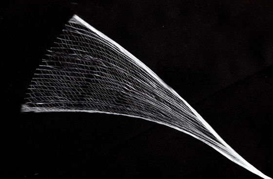 1000D 2000D 3000D 4000D PP Fibrillated Yarn High Tensile Strength Twist Or Non Twist