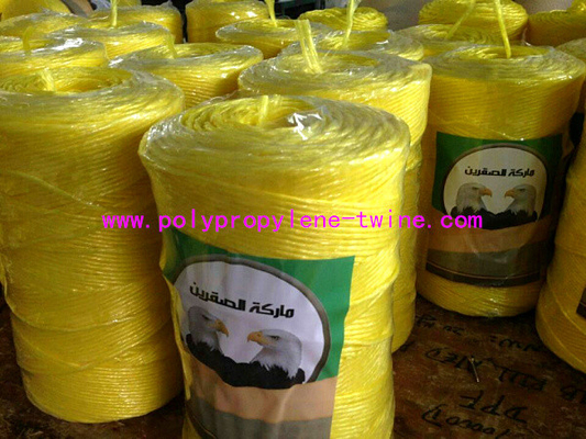2mm Yellow PP Baler Twine Fibrillated 2g/M 250g 500g 1000g 2000g