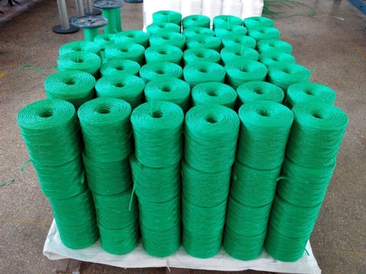 Eggplant Greenhouse Horticulture Vegetable Fruit Plastic PP Twine Rope UV Treated