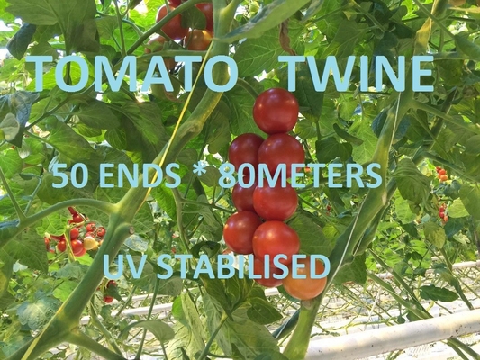 Greenhouse Tomato Tying Twine Colorful Plastic Garden Packing Raffia String