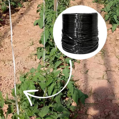 Black Tomato Twine 1890' Ft/Lb 65 Lbs Tensile Polypropylene Twine for Greenhouse and Vegetable Trellising
