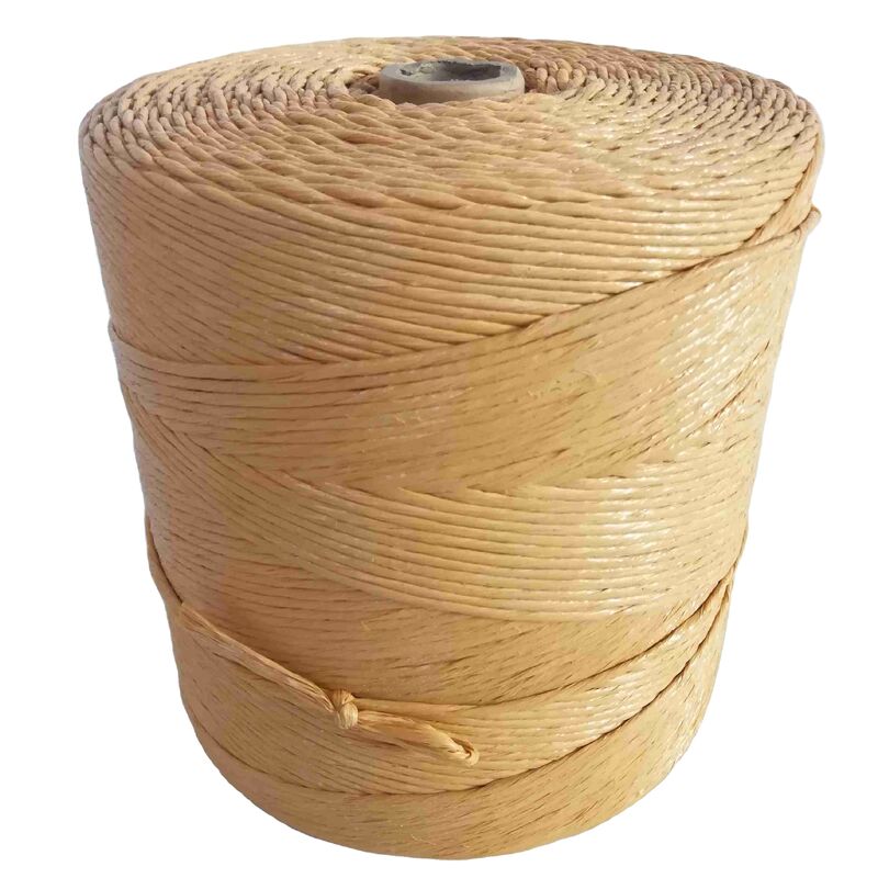 PP Twine for Mats Webbing Weft