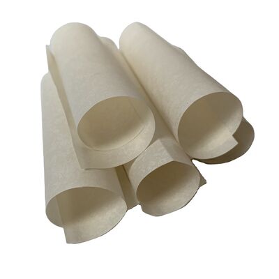 Устойчивость изоляции 1,12 умножить на 10 на мощность 14 Оммовой мотор изоляционная бумага разработана для устойчивости к температуре до 300 градусов по Цельсию